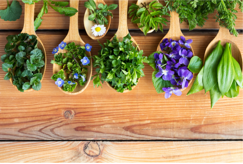Fresh culinary herbs, leafy greens, and edible purple flowers displayed in wooden spoons for fresh catering dishes and garnishes