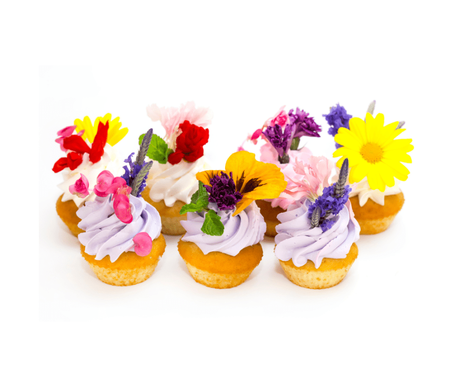 Elegant cupcakes topped with lavender and white frosting and colorful edible flowers for catered celebrations and dessert tables in Charleston SC.